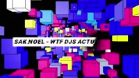 SMT英文MV-Sak Noel - WTF DJs Actually Do_ (Clean Intro)